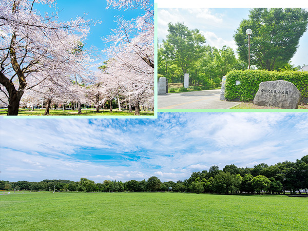 多くの公園が存在する穏やかなエリアで暮らす