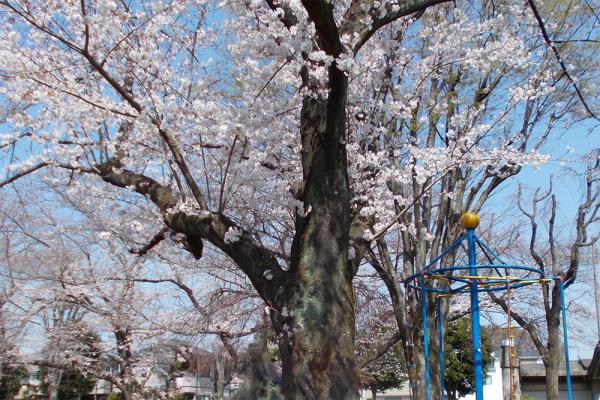 外出レクを実施しました